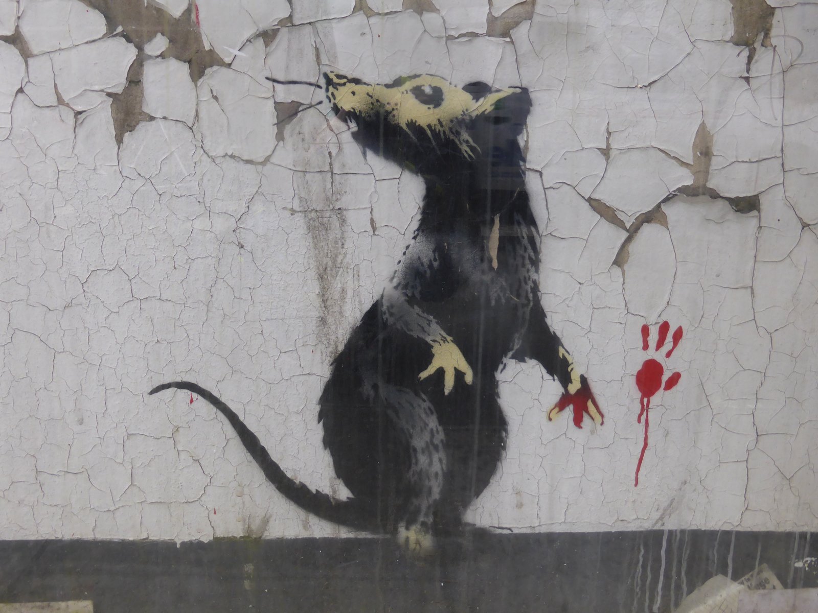 Rat (3)
