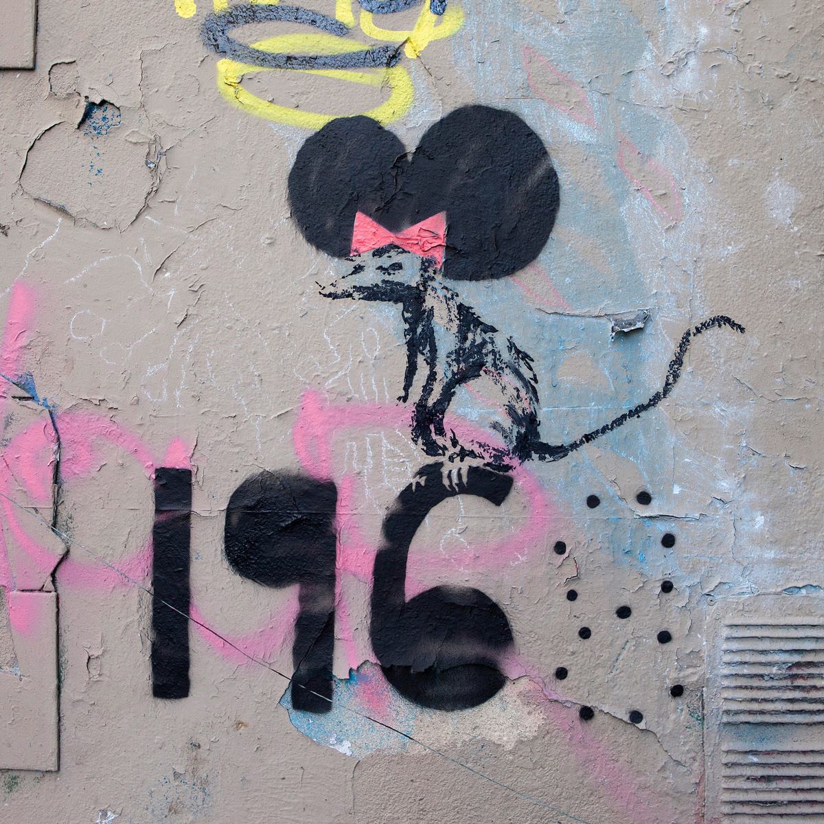 Rat 196