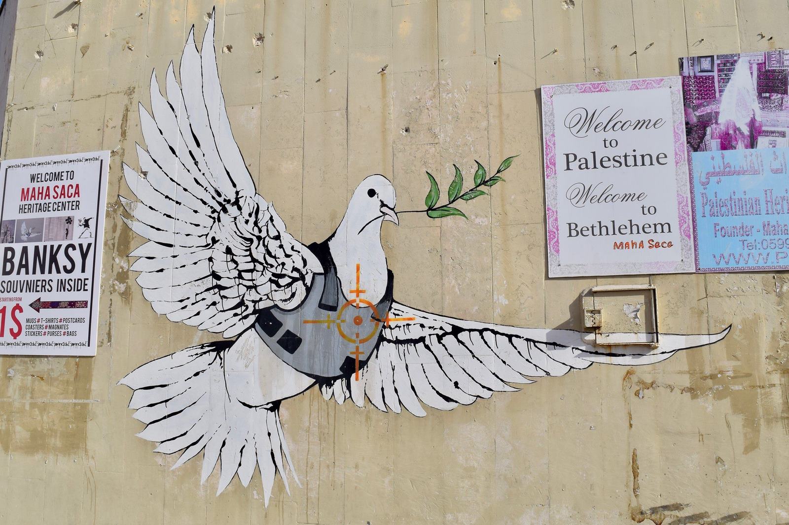 Welcome to Palestine (1)