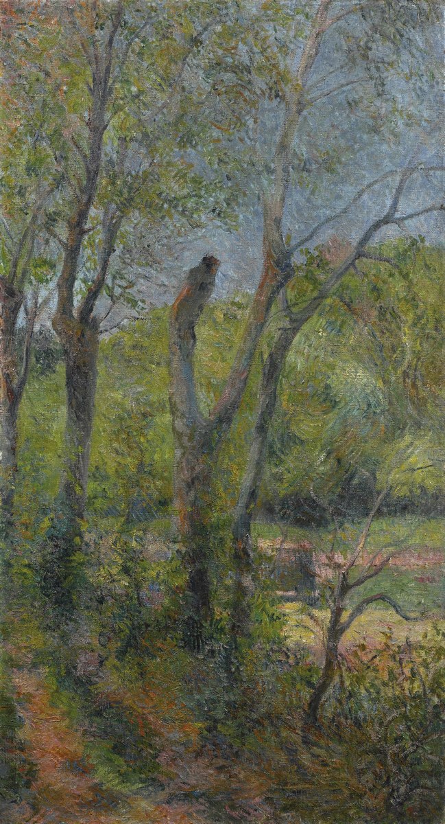 Willows