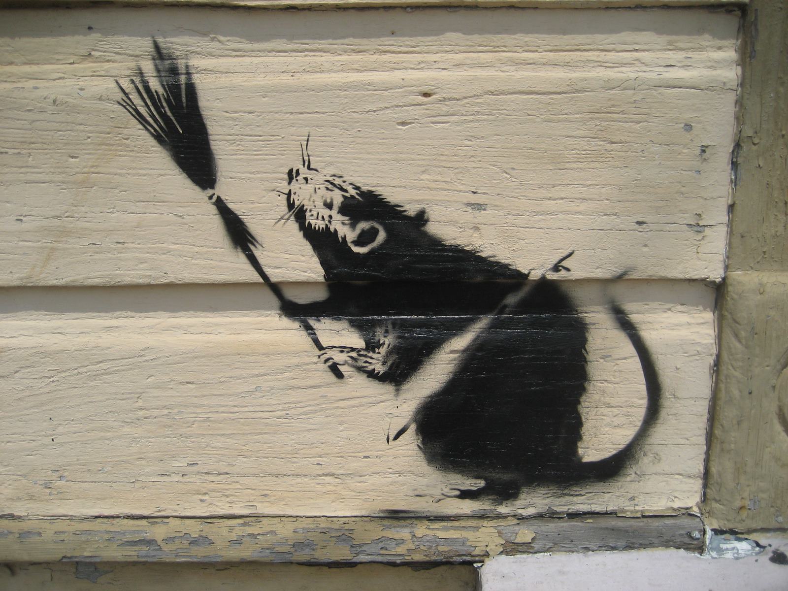 Broom Rat New Orleans