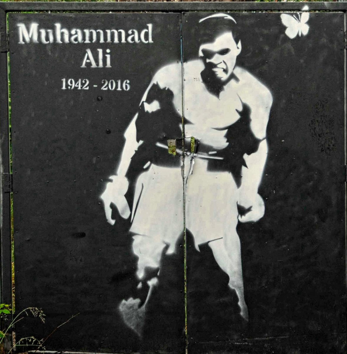 Muhammad Ali