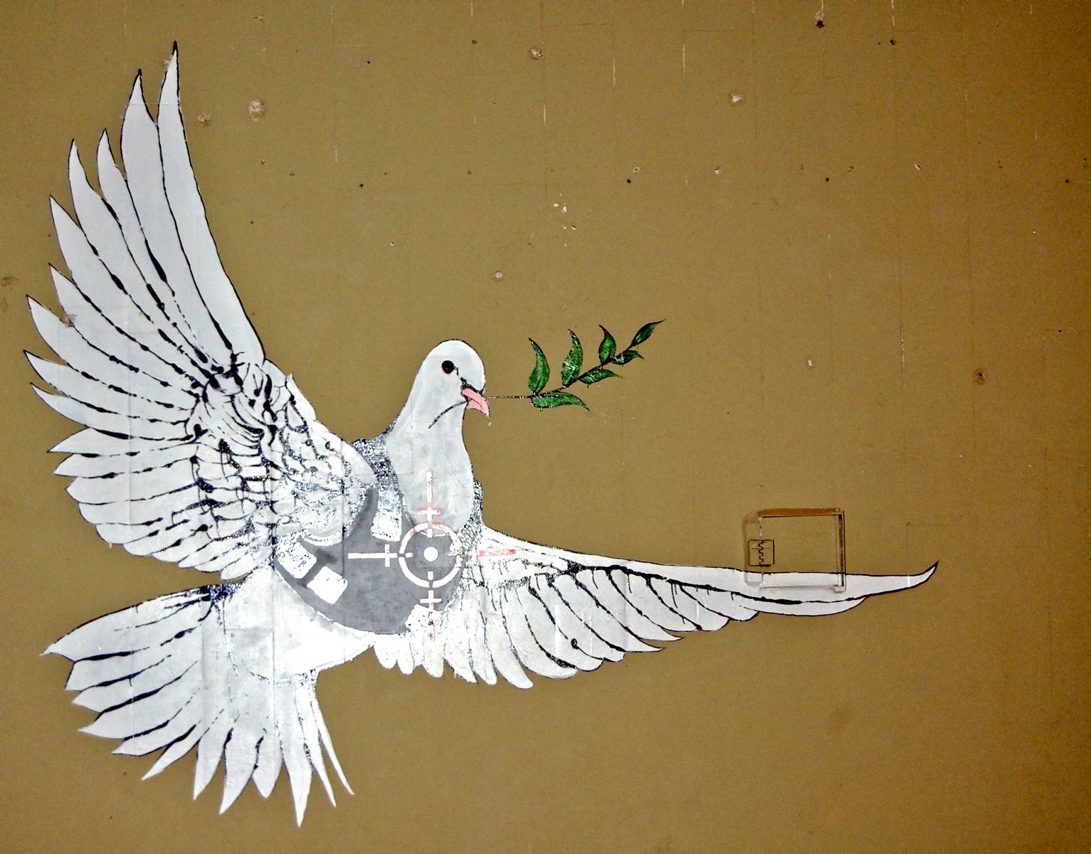 Peace Dove