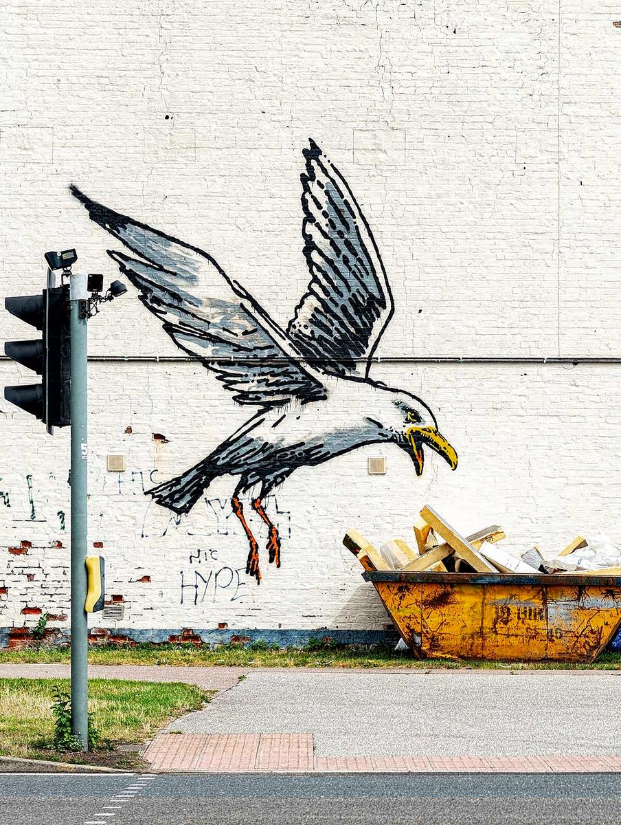 Seagull