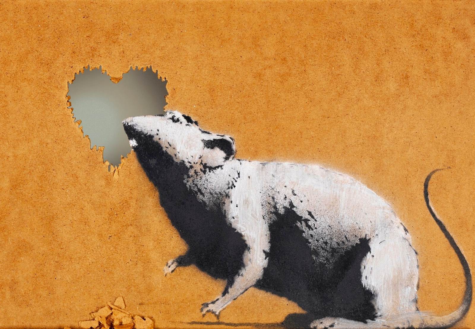 Rat and heart