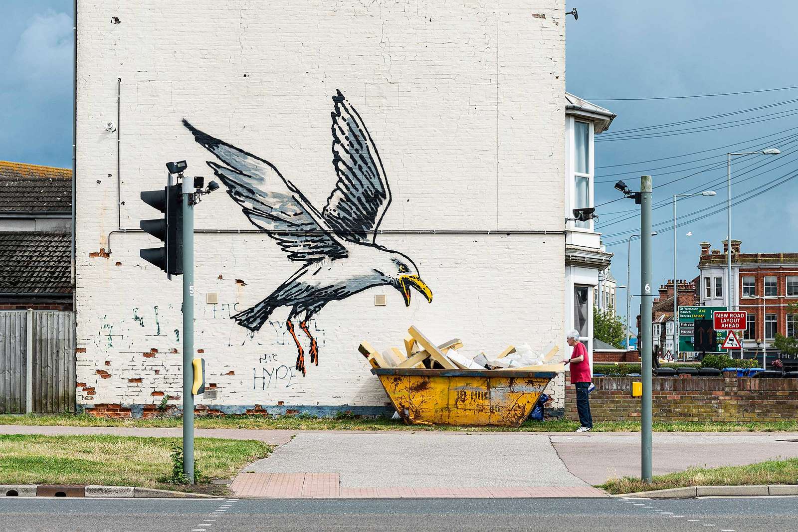 Seagull wide (3)