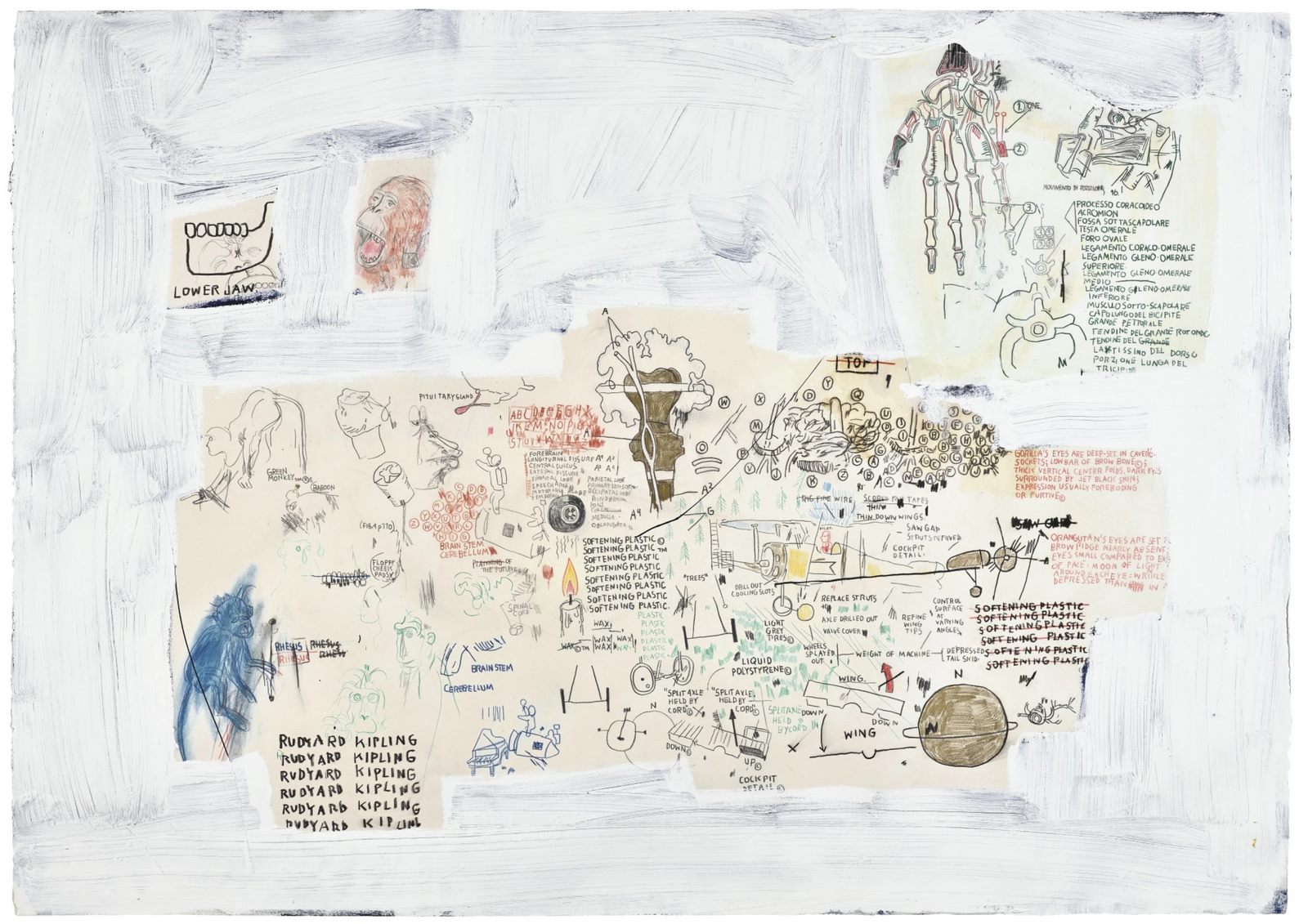 Untitled (80)
