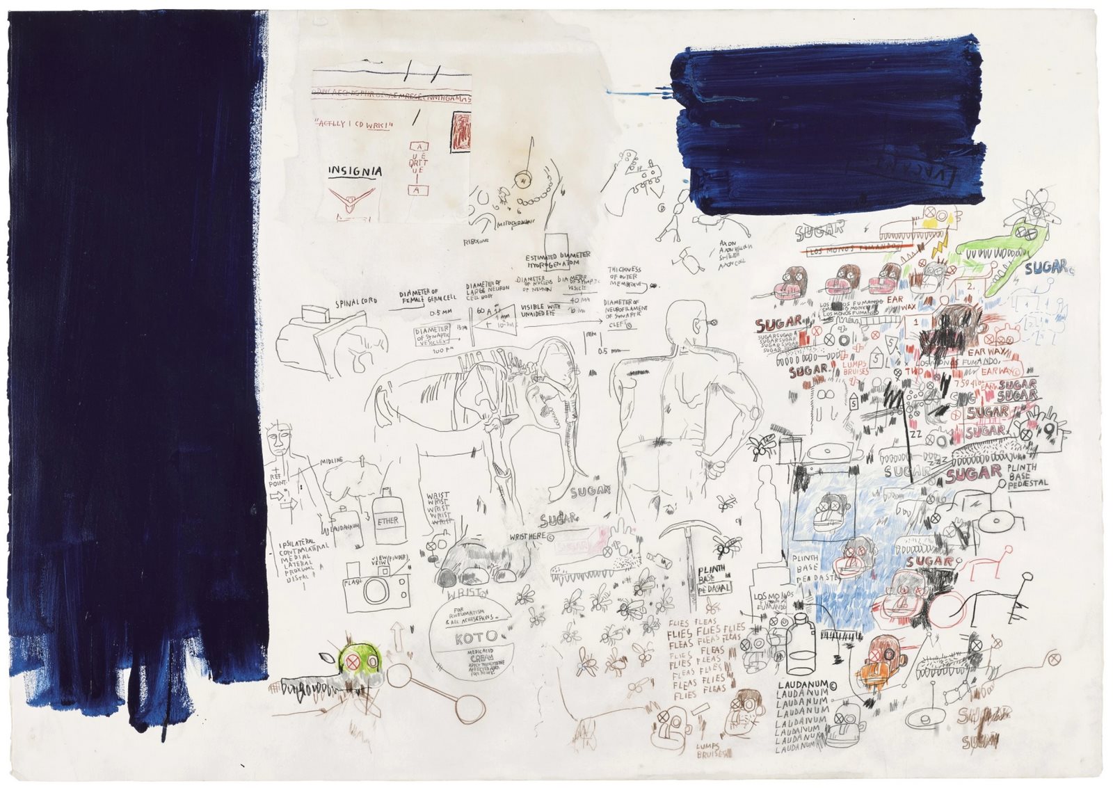 Untitled (81)