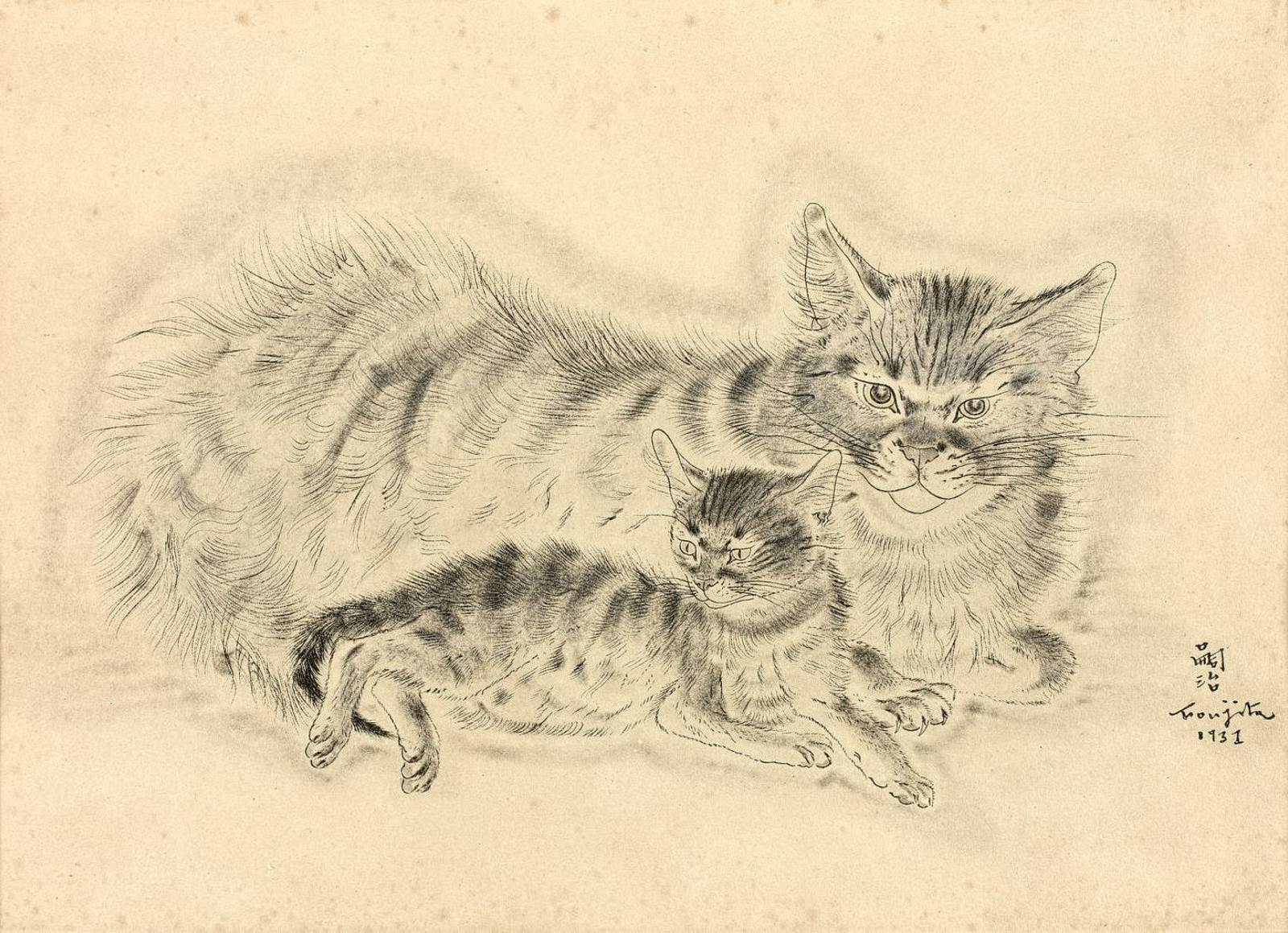 Cat (46) - Chatte et chaton (3)