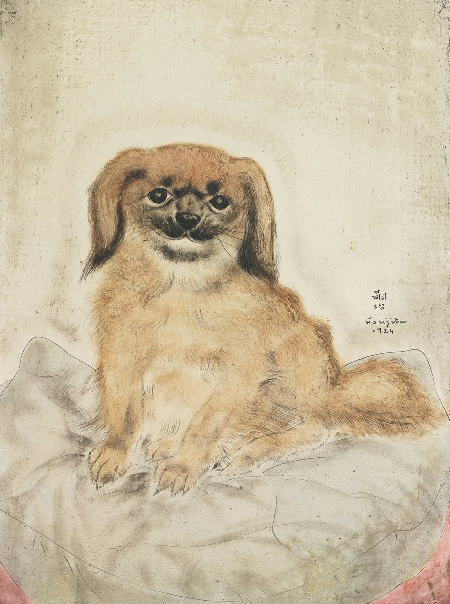 Le Pétit pekinois