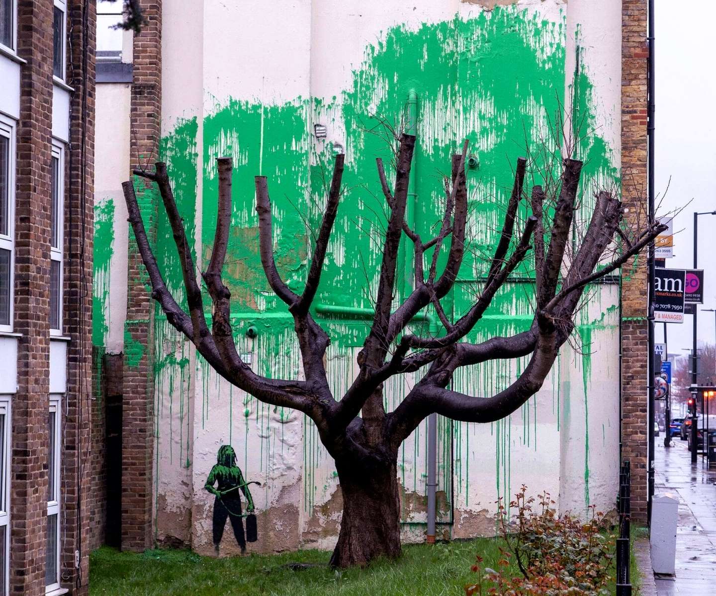Tree foliage (3)