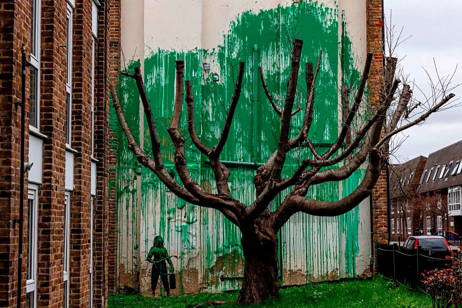 Tree foliage (2)
