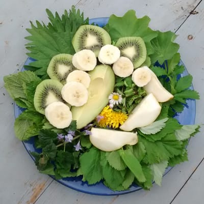 Grüner Smoothie mit Wildkräutern