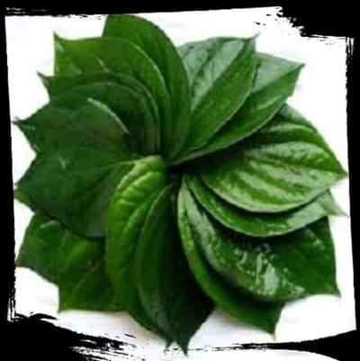 About image