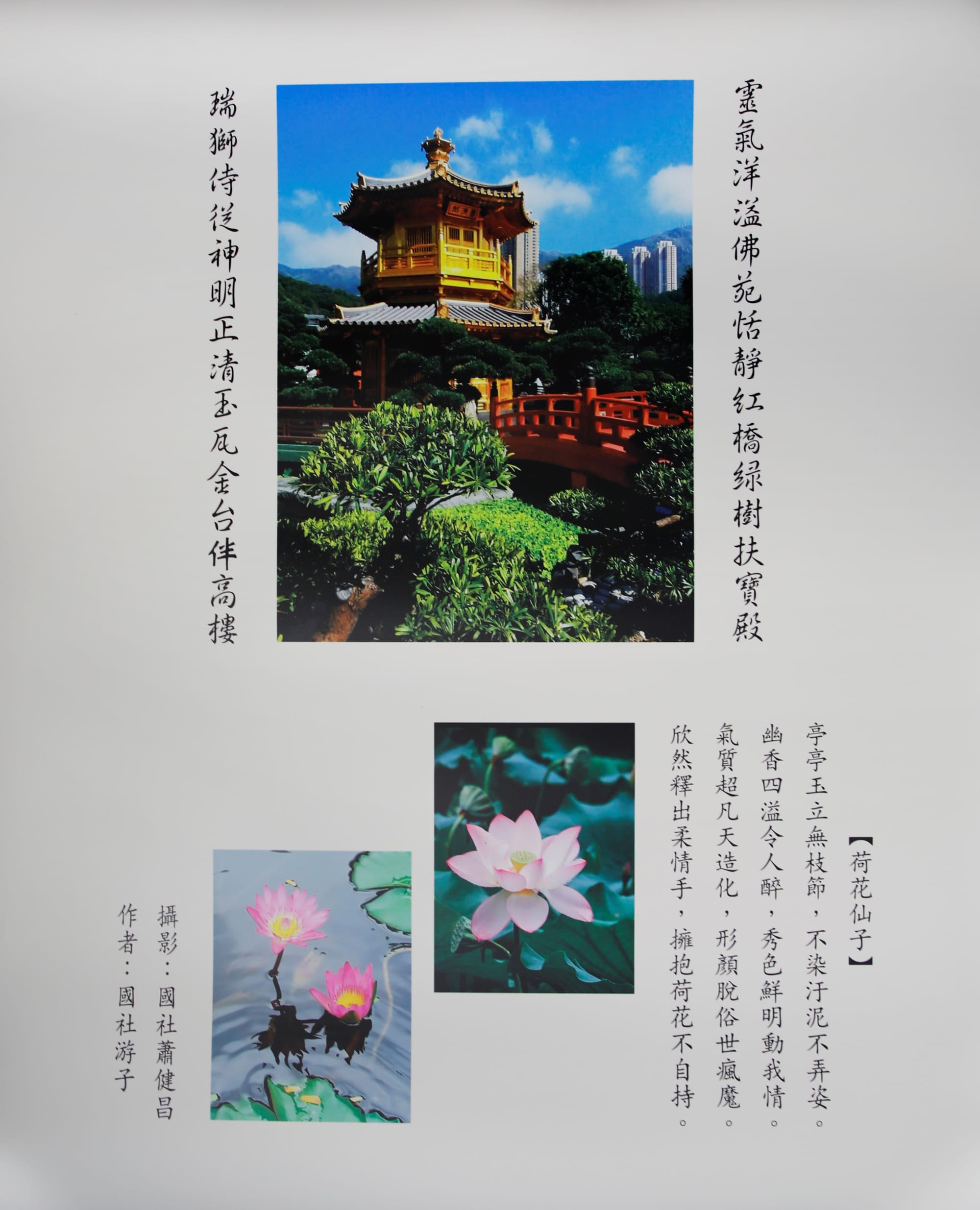荷花仙子(佛寺景色)  (122)
