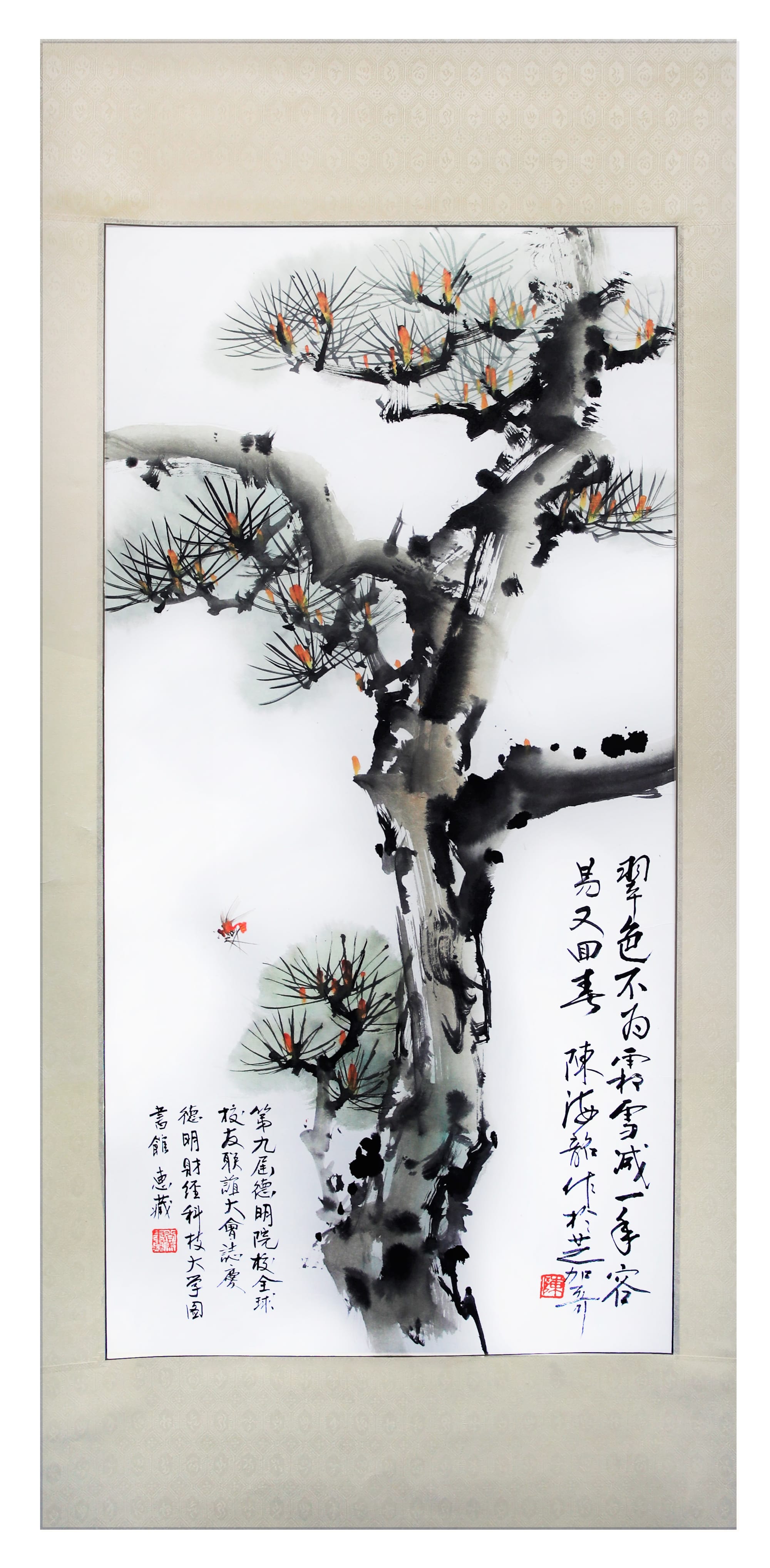 青松 (113)