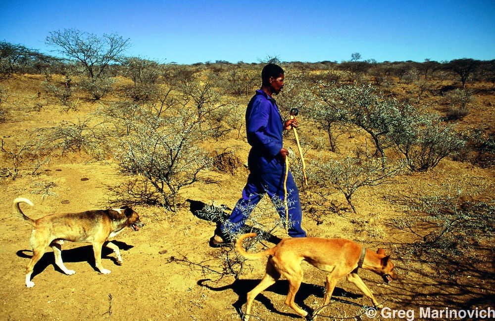 Hunting - Kuzingelwa kanje eMsinga