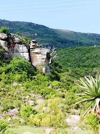 "Come on and kiss me" - Nature and its evergreen shrubs beckons by the mountains of Msinga - an inyanga's 'paradise'