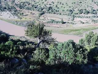 "Ongaphesheya ongaphesheya" - Shouts young shepherds when uThukela is heavily flooded like this