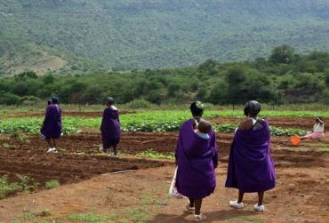 Inzalabantu ihlola izwe layo lolimo - Mtateni. BaThenjini