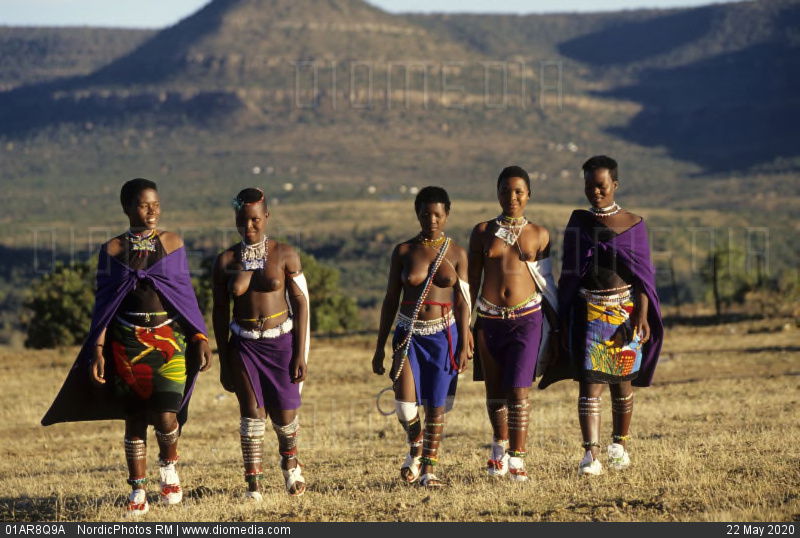 Amabhinca angempela, hhayi lo mkokotelo ohlala uzwa ngawo oKhozini. Laba ababili abavengqile amaqhikiza, kuthi laba abathathu abaveze amabele kube amatshitshi. Umbona kanjalo owesifazane oseqomile nongakaqomi eMsinga