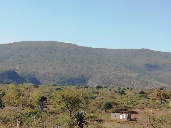 Sdumbeni rainforests - kwaNdaya - suitable for a Game Reserve per Prince Khetheyakhe Ngubane's vision - MaBomvini