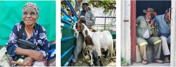 Yiyo lena iGoat Auction Sale eMsinga