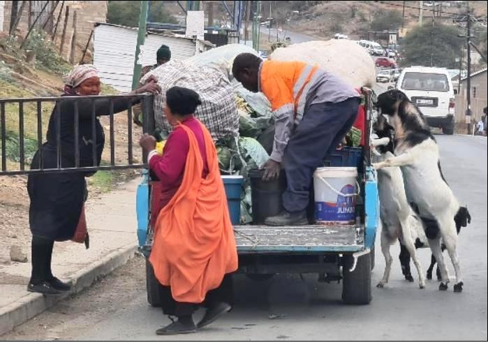 ETugela Ferry (Esikebheni) nezimbuzi zakhona ezinonophele