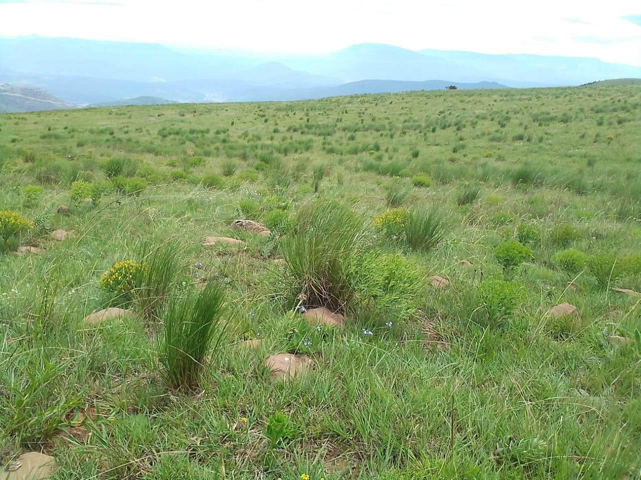Phezulu kwaHlomela - Okhakhayini lwentaba uPhakwe