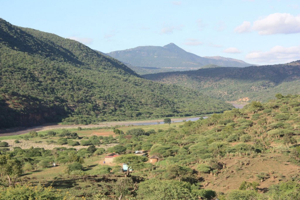 Ngubevu (Ngwebomvu)