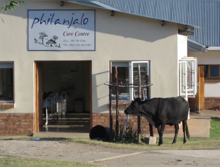 Sharing our space with our livestock is natural. This is a rural area countryside, sometimes you wake up to be greeted by a sound of a bleating goat or a mooing cow or a chirping bird. You are most welcome...