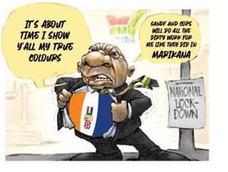 Proof that Ramaphosa’s  Feb 13 SONA was written by opposition parties