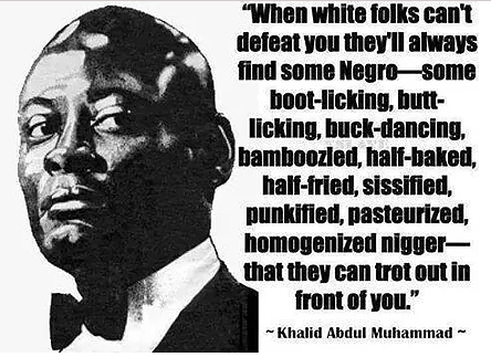 KHALID MUHAMMAD IN 1994: MANDELA'S RELEASE FROM JAIL A SCAM...