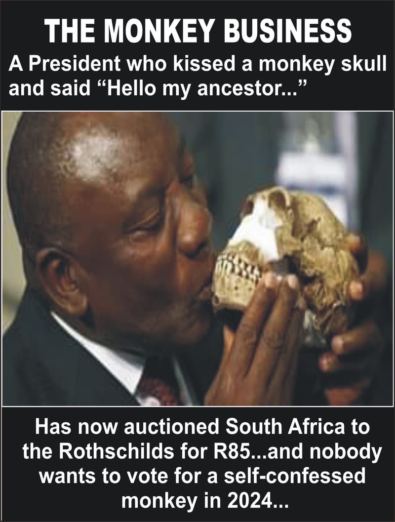 THE MONKEY BUSINESS: THE STATE OF A NATION  CALLED SOUTH AFRICA OFF-CAMERA