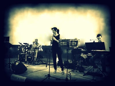 NIGHT & DAY   live music trio