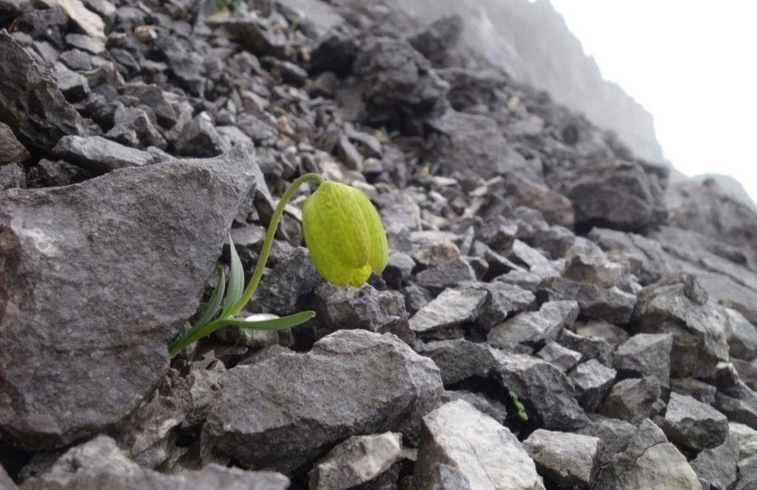 Individual Therapy Benefits