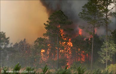 Pollution is ruining the nature image