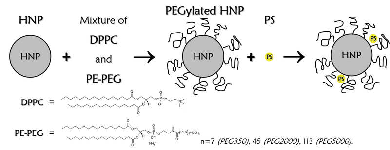 photodynamic therapy (PDT)