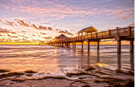 What You Should Know About Organizing a Great Clearwater Beach Vacation
