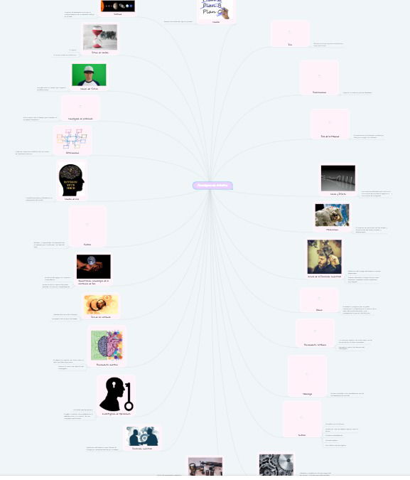Mapa conceptual