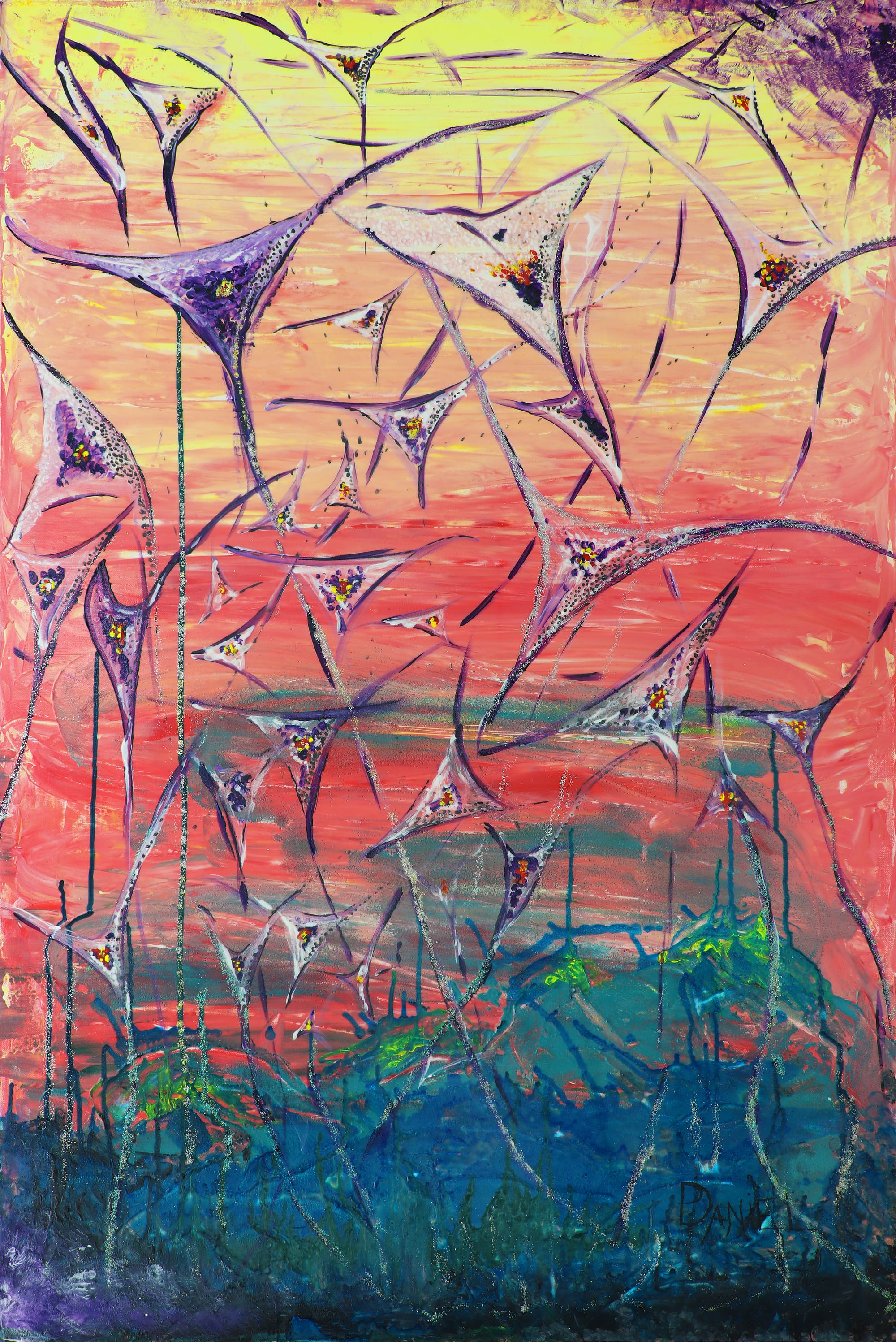 Large Manta Blossoming