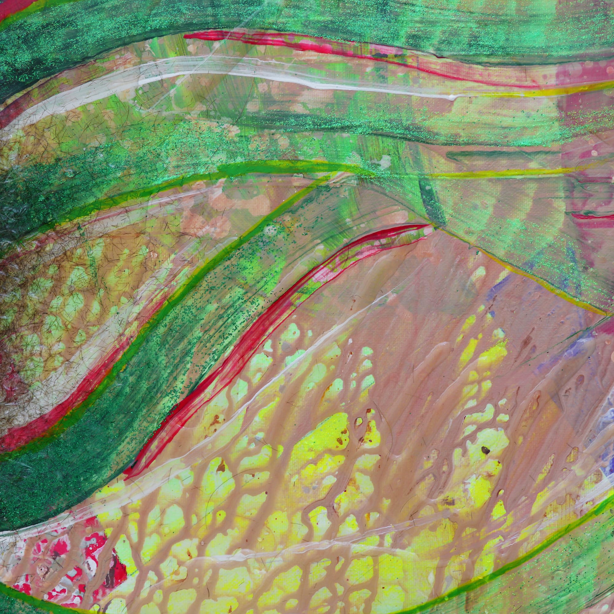 Spider Crab Under The Water