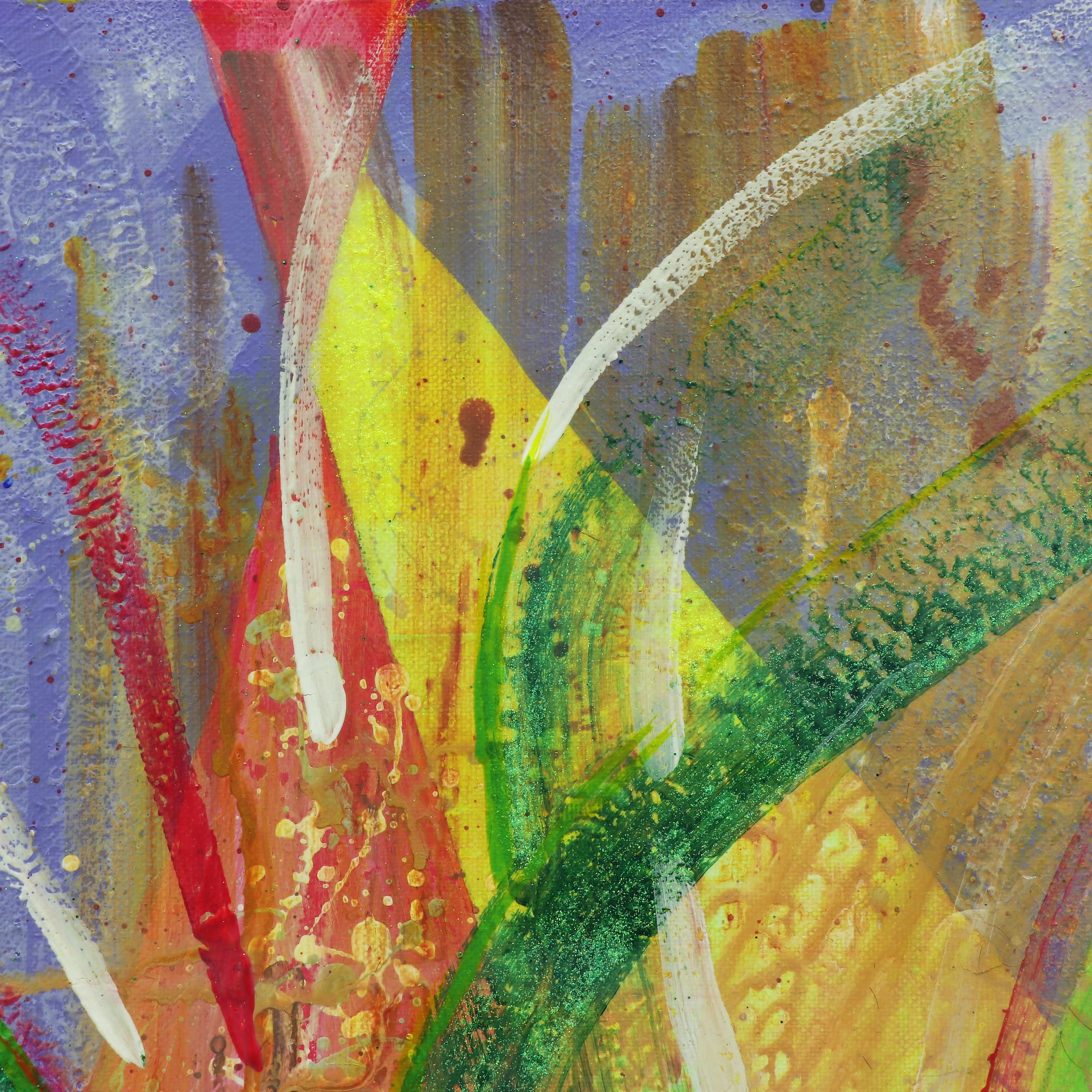 Spider Crab Under The Water