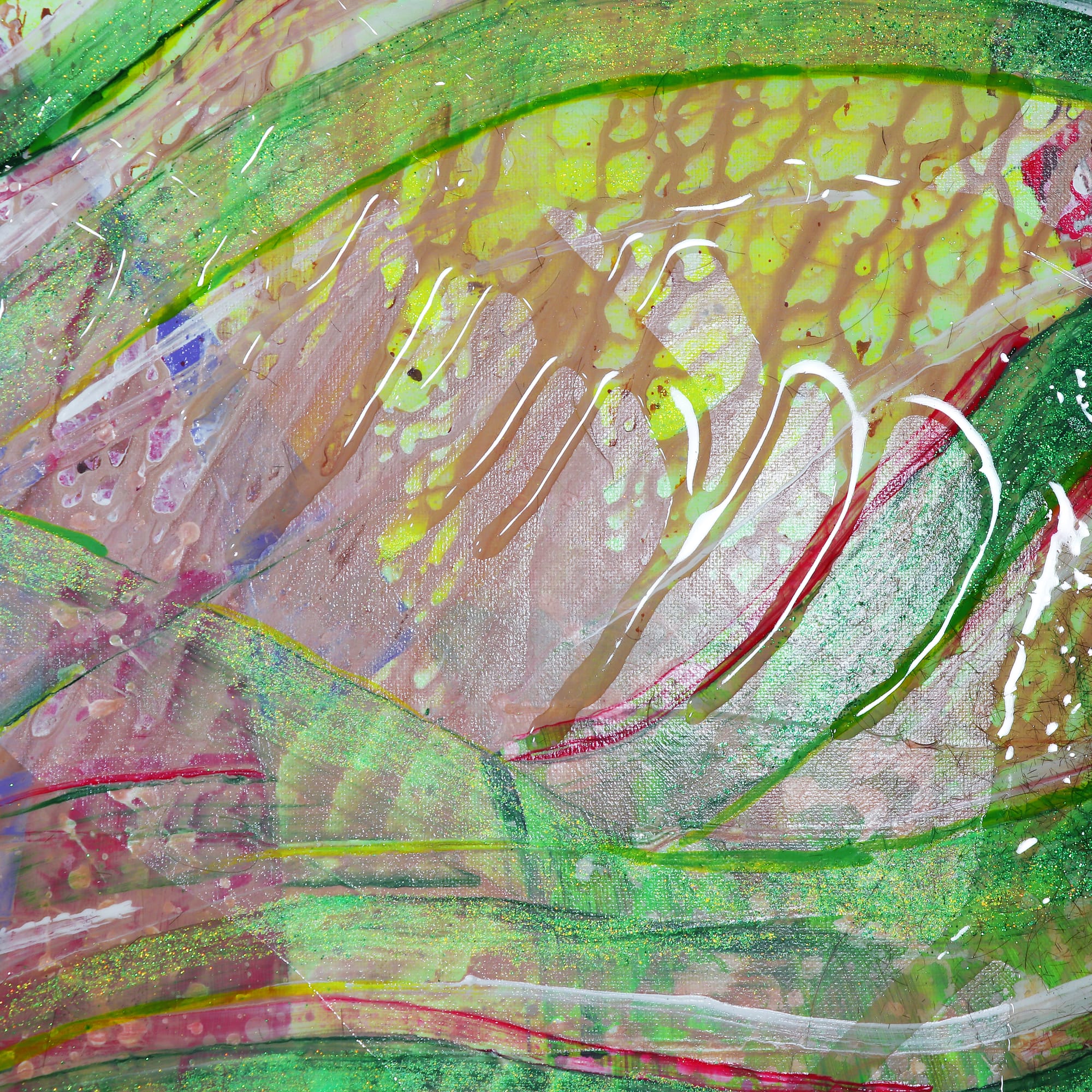 Spider Crab Under The Water