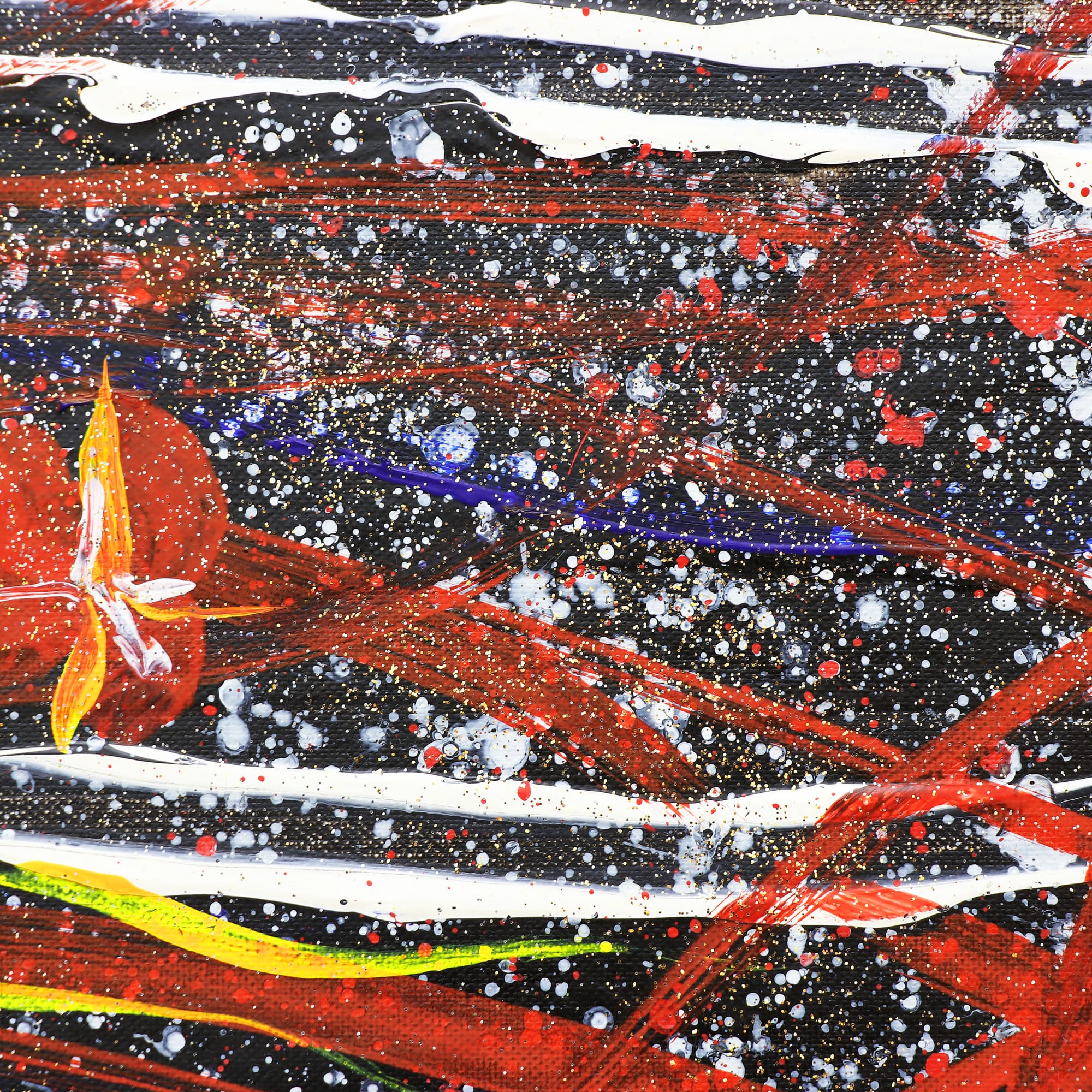 Firework in the night. 