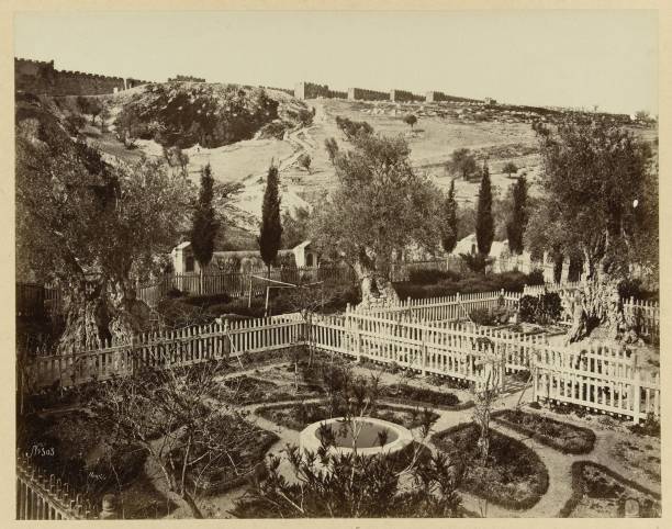 Sauniere's own Garden of Gethsemane?