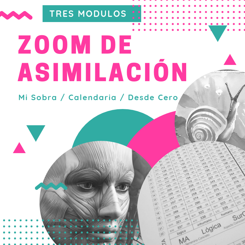 Asimilación a tu ritmo