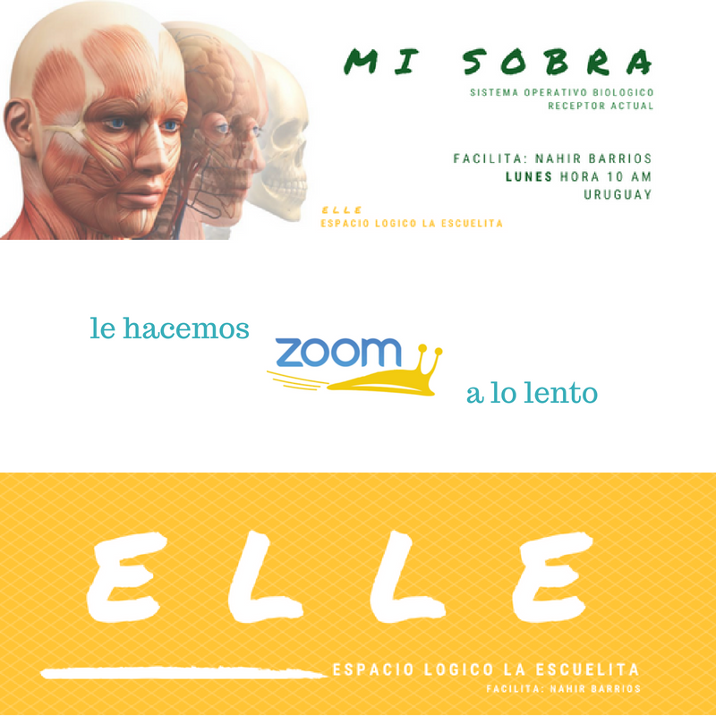 Zoom: MI SOBRA 2018