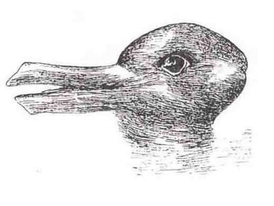 Co widzicie na obrazku???