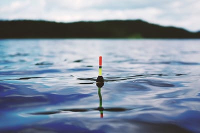 How Opposition Can Be Good For You